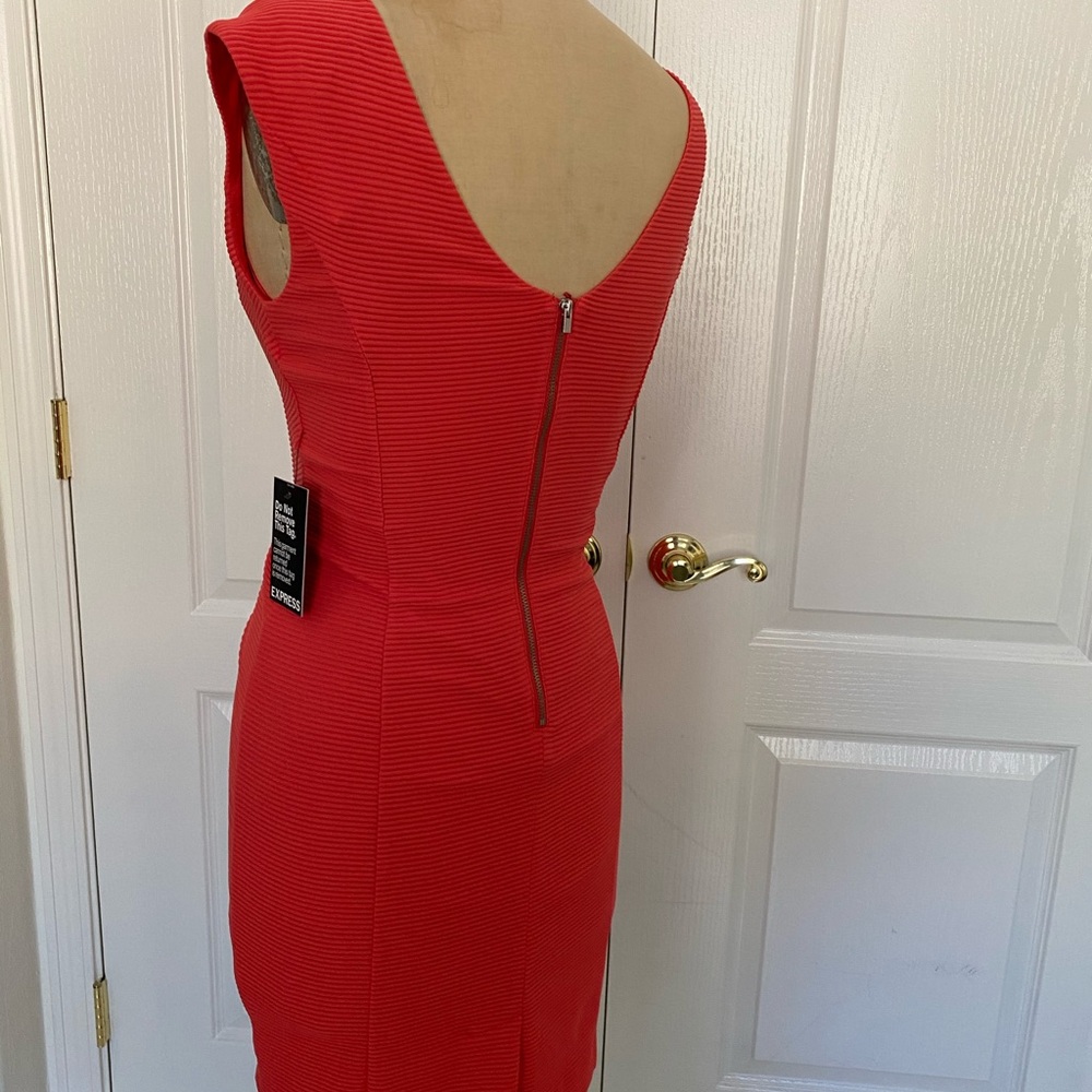 Express Dress - Picture 6 of 7